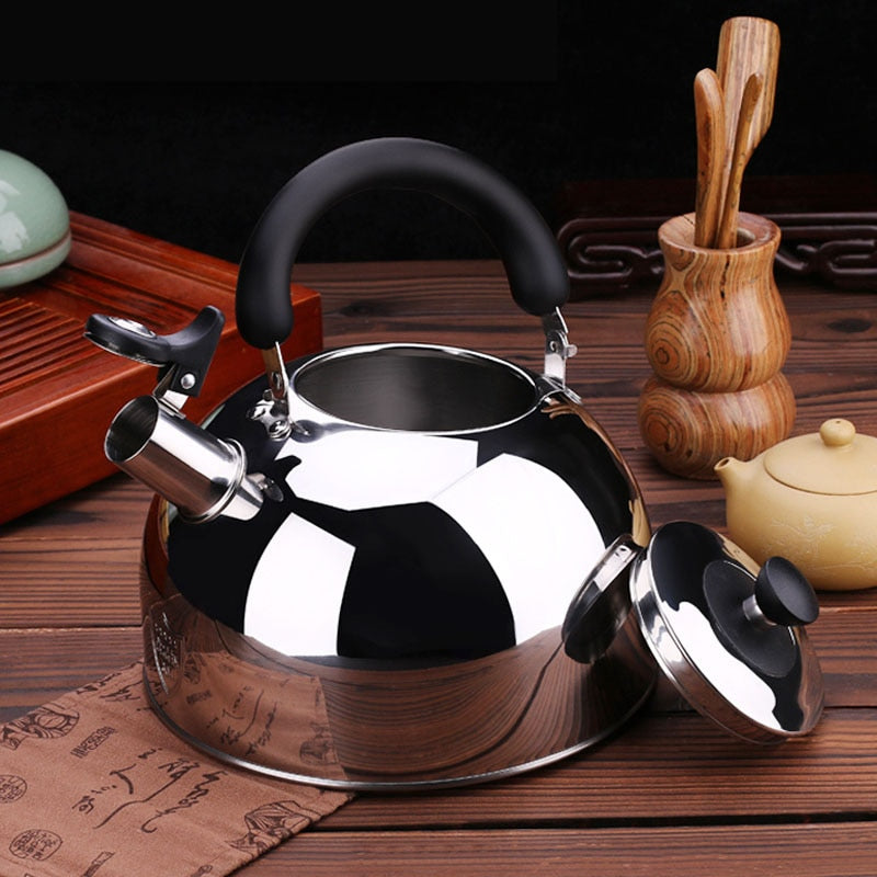 Stainless Steel Whistling Tea Kettle